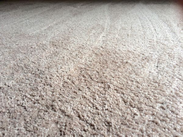 Plush Carpet Installation in Pocatello