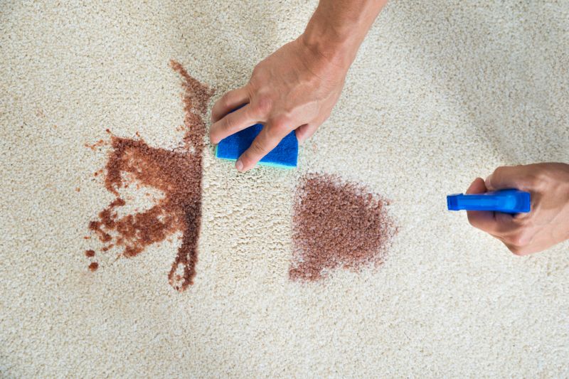 Stain Treatment Solutions