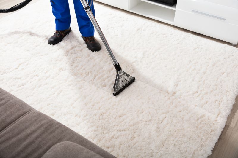 Residential Carpet Cleaning